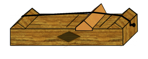 monocordio pitagoras